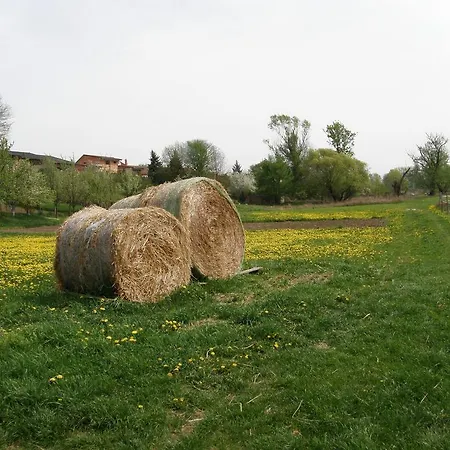 Vinný Sklep Kovárna Apartmán Rohatec