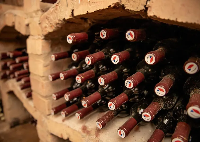 Vinny Sklep Kovarna Διαμέρισμα *